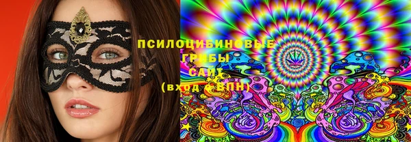 а пвп мука Абаза