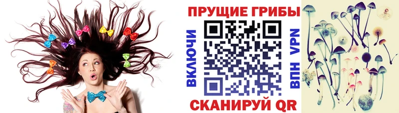 Галлюциногенные грибы Cubensis  Лангепас 